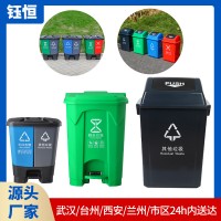 50L脚踏式垃圾桶 家用塑料垃圾分类双胞胎桶室内带盖脚踩垃圾桶