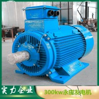 300kw50赫兹同步永磁发电机低速永磁发电机水力发电机 水轮发电机