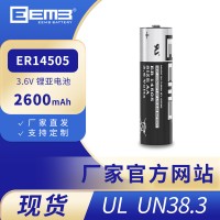 EEMB ER14505锂亚电池3.6V2600mAh智能设备AA电 池工厂直销批发